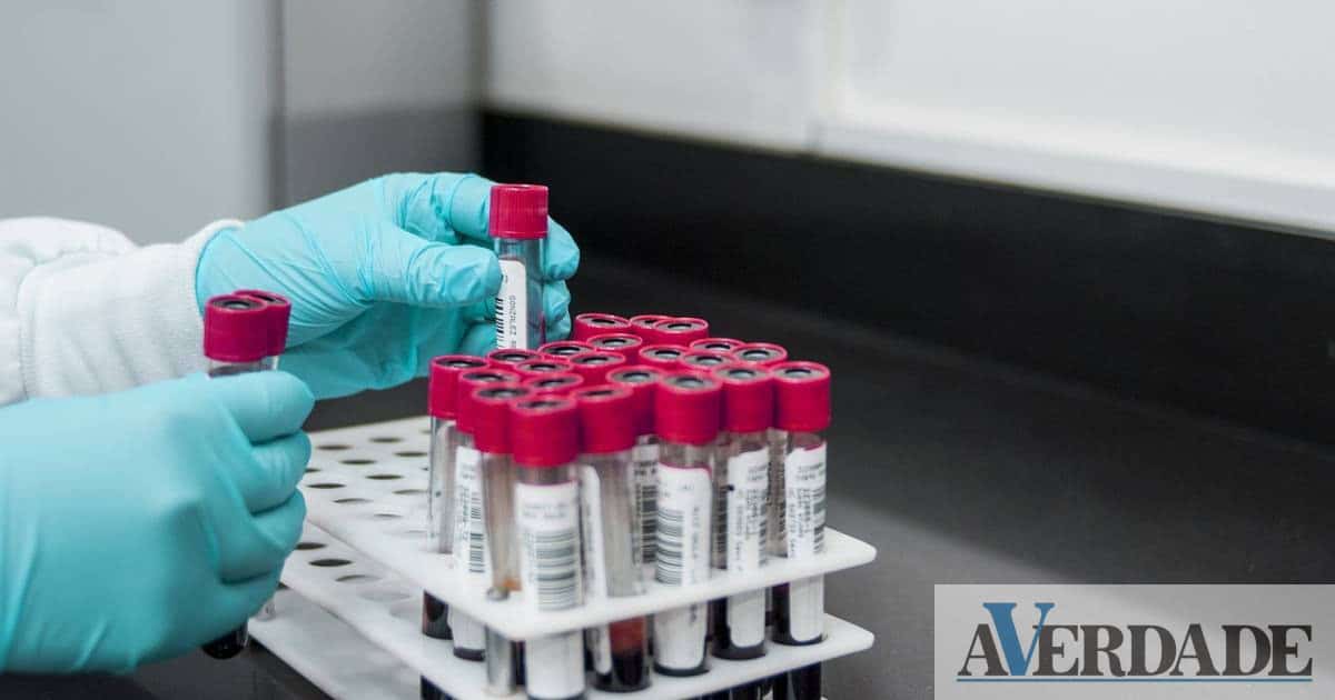 Campanha de doação de sangue decorre dia 3 de setembro em Lousada