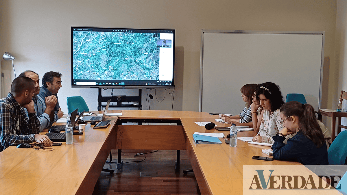 Grupo de trabalho intermunicipal já analisou danos causados pelos incêndios na serra da Aboboreira