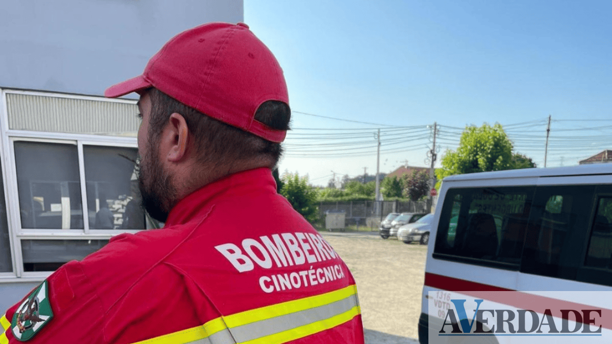 Equipa Cinotécnica de Amarante vai dinamizar a formação de primeiros socorros a animais