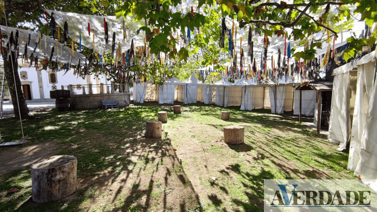 "Festa das Vindimas" está de volta ao Lugar dos Desamparados em Cinfães