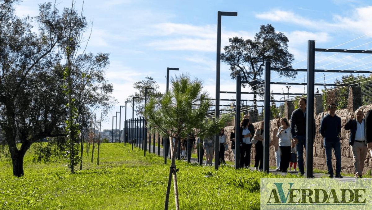 Câmara Municipal do Porto já inaugurou o novo Parque da Alameda de Cartes