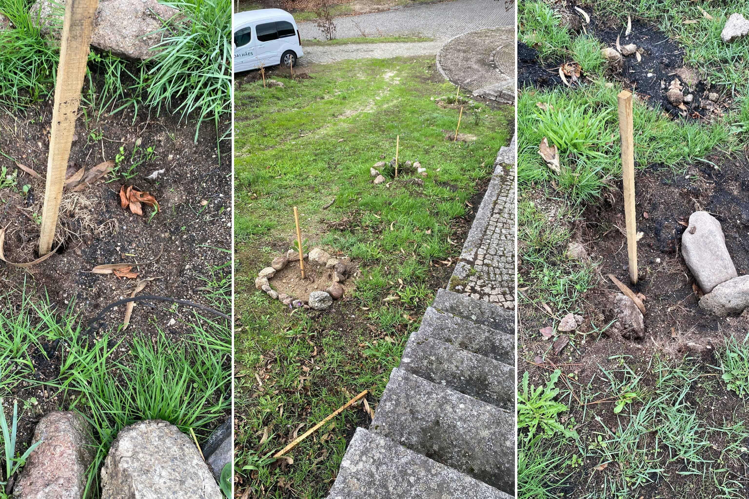 Marco: Lamentável! Furtaram as árvores do parque dos avós na freguesia de Soalhães