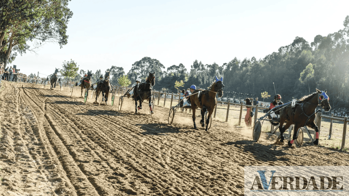 Taça de Portugal de Trote e Galope vai estar no Hipódromo de Carvalho, em Celorico de Basto
