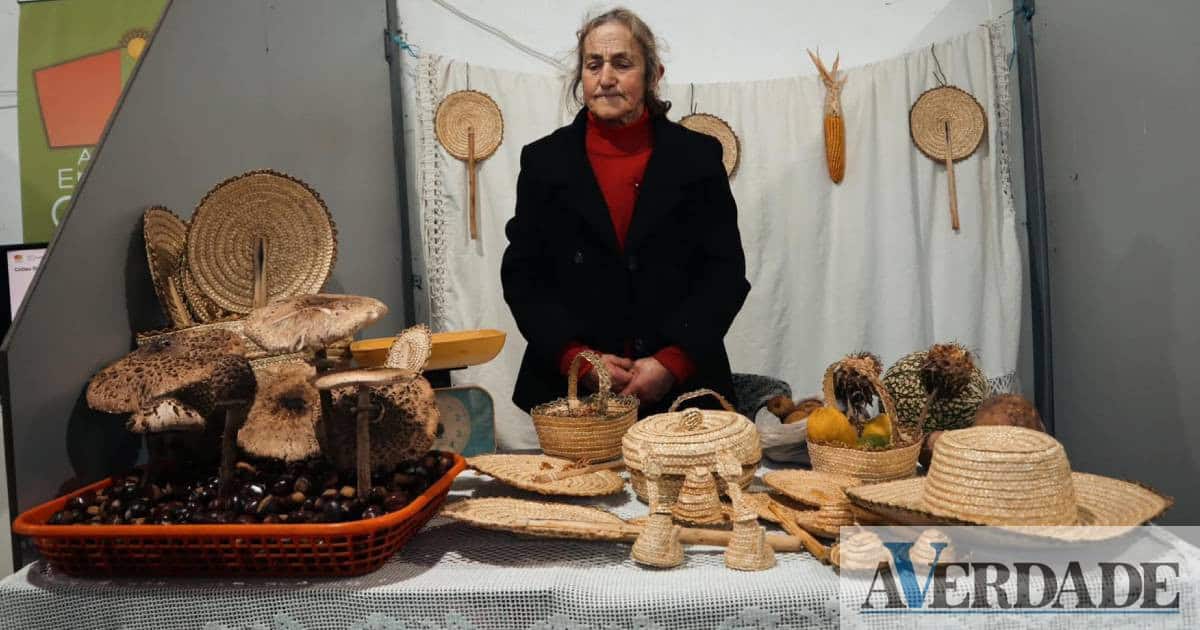 Cinfães: Feira da Castanha de Tendais celebra 20 anos com artesanato, música e tradição