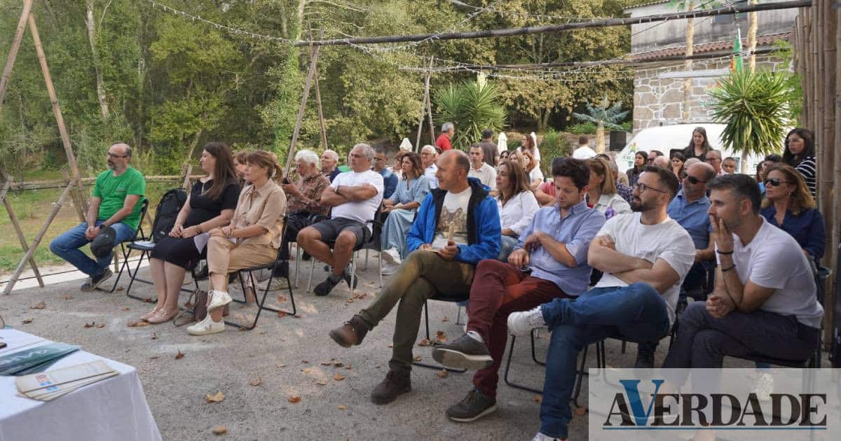 Câmara do Marco de Canaveses vai investir em zonas de lazer junto aos rios Douro e Ovelha