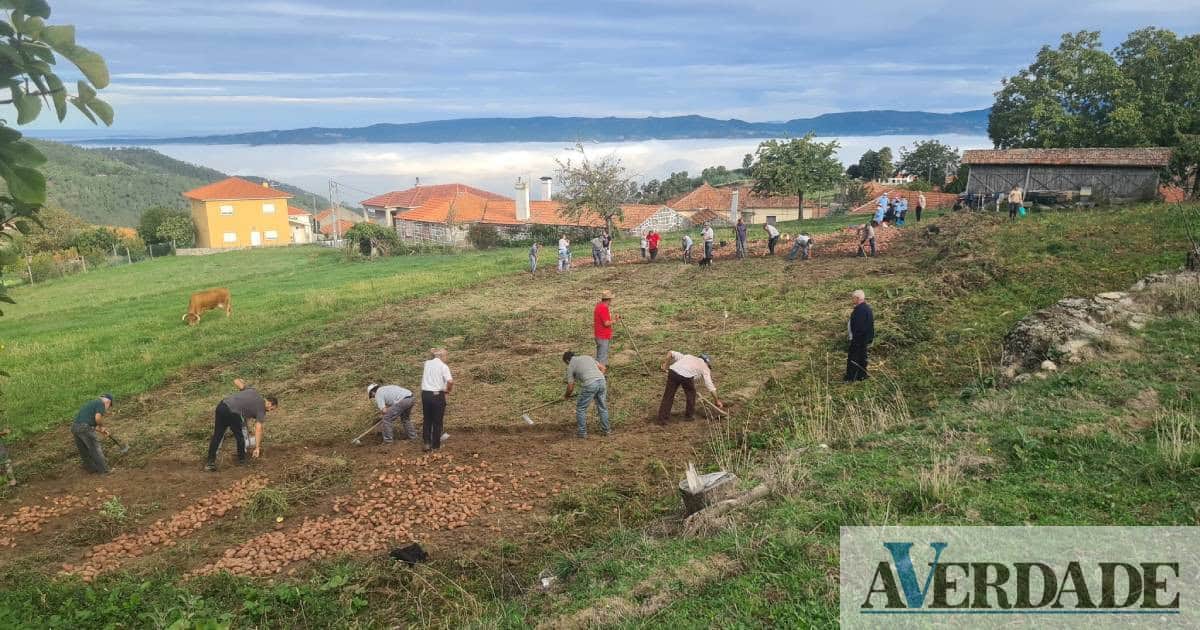 Resende: Felgueiras e Feirão realiza "Festa da Lavoura" este fim de semana