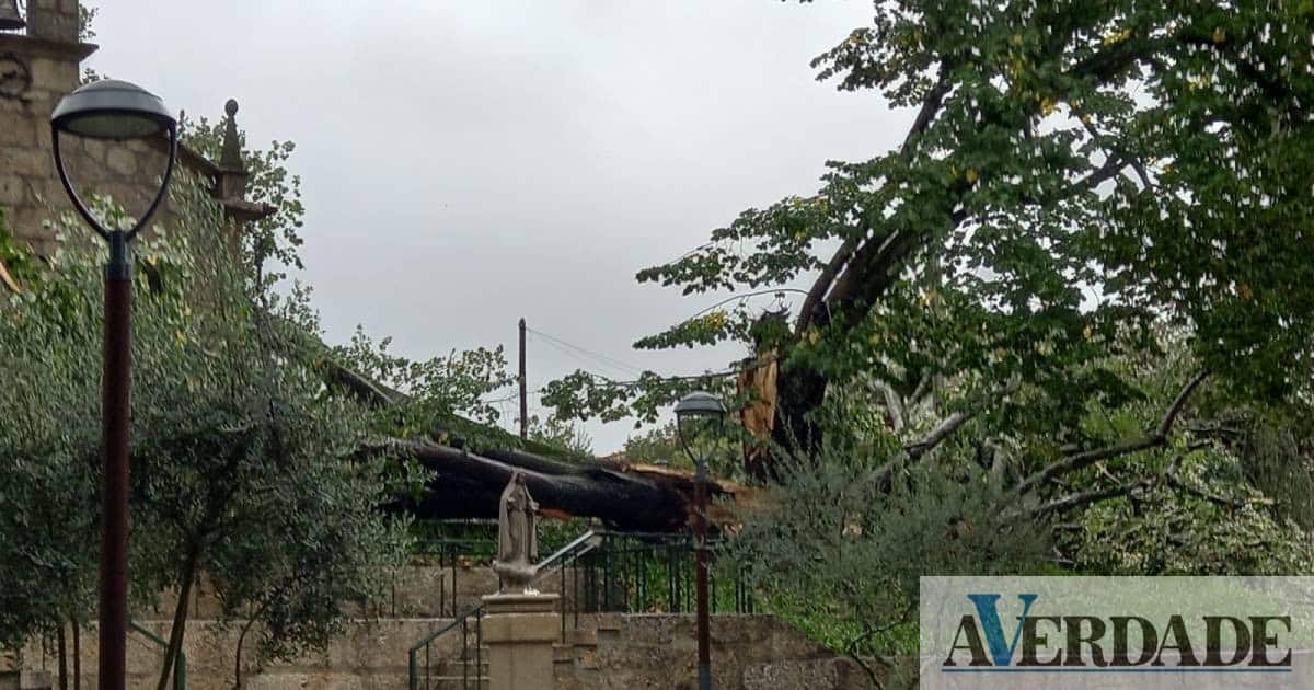 Marco de Canaveses: Igreja de Rio de Galinhas atingida por árvore devido ao mau tempo