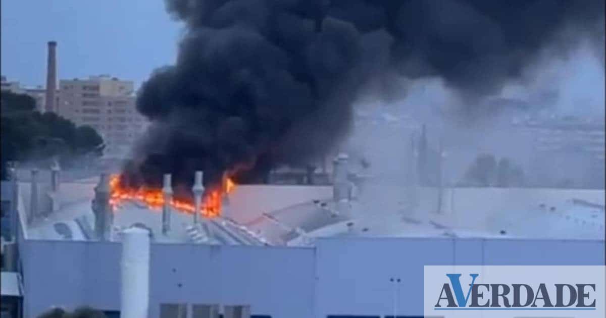 Gaia: Deflagrou um incêndio na estufa de pintura Salvador Caetano