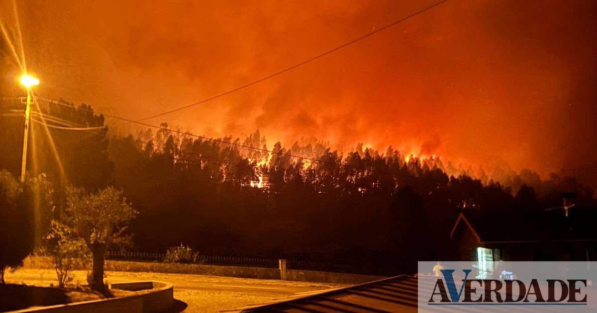 Portugal regista terceira maior área ardida da década apesar de menor número de incêndios