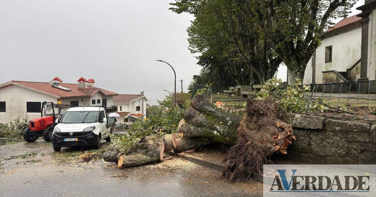 Proteção Civil de Baião com registo de quedas de árvores e deslizamentos de terras