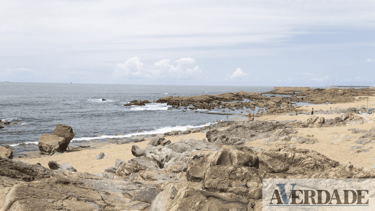 Porto eleito "Município Mais Azul" em 2024 pelo trabalho nas praias da cidade