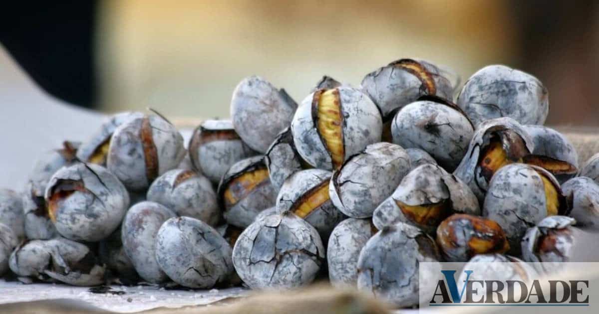 Marco: Festa em Honra de São Martinho de Aliviada regressa com dois dias de animação