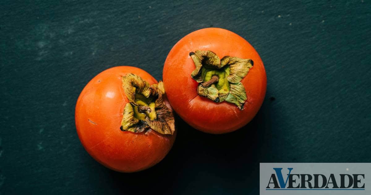 Costuma consumir di&oacute;spiros no outono? Conhe&ccedil;a os seus benef&iacute;cios