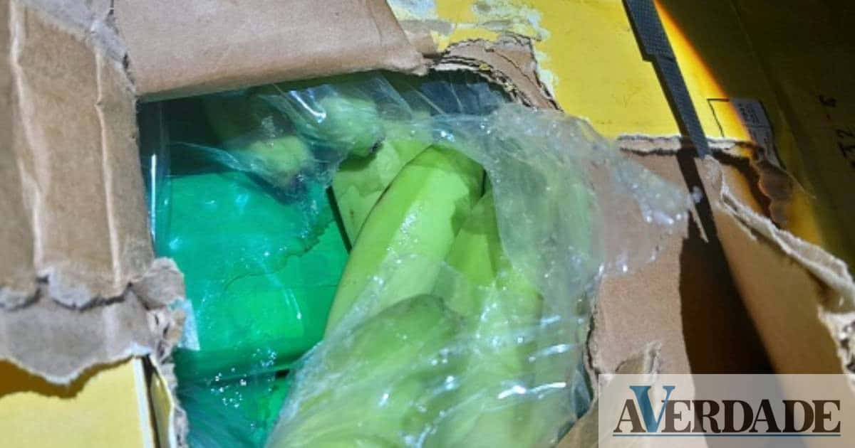 PJ apreende cerca de três toneladas e meia de cocaína