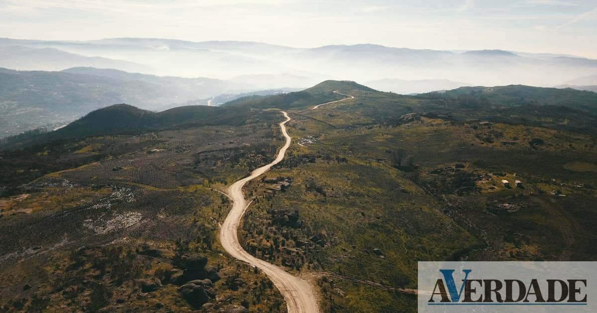Campanha de Natal alerta para a necessidade da reflorestação da Serra da Aboboreira