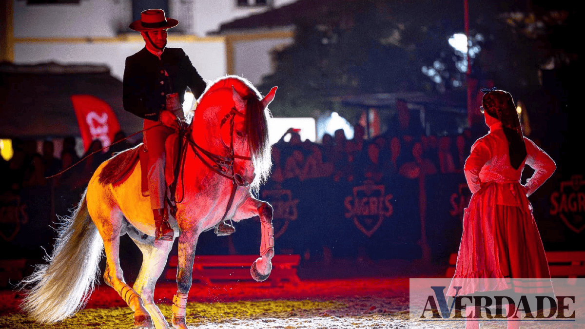 Baião continua a celebrar o Natal com Gala Equestre