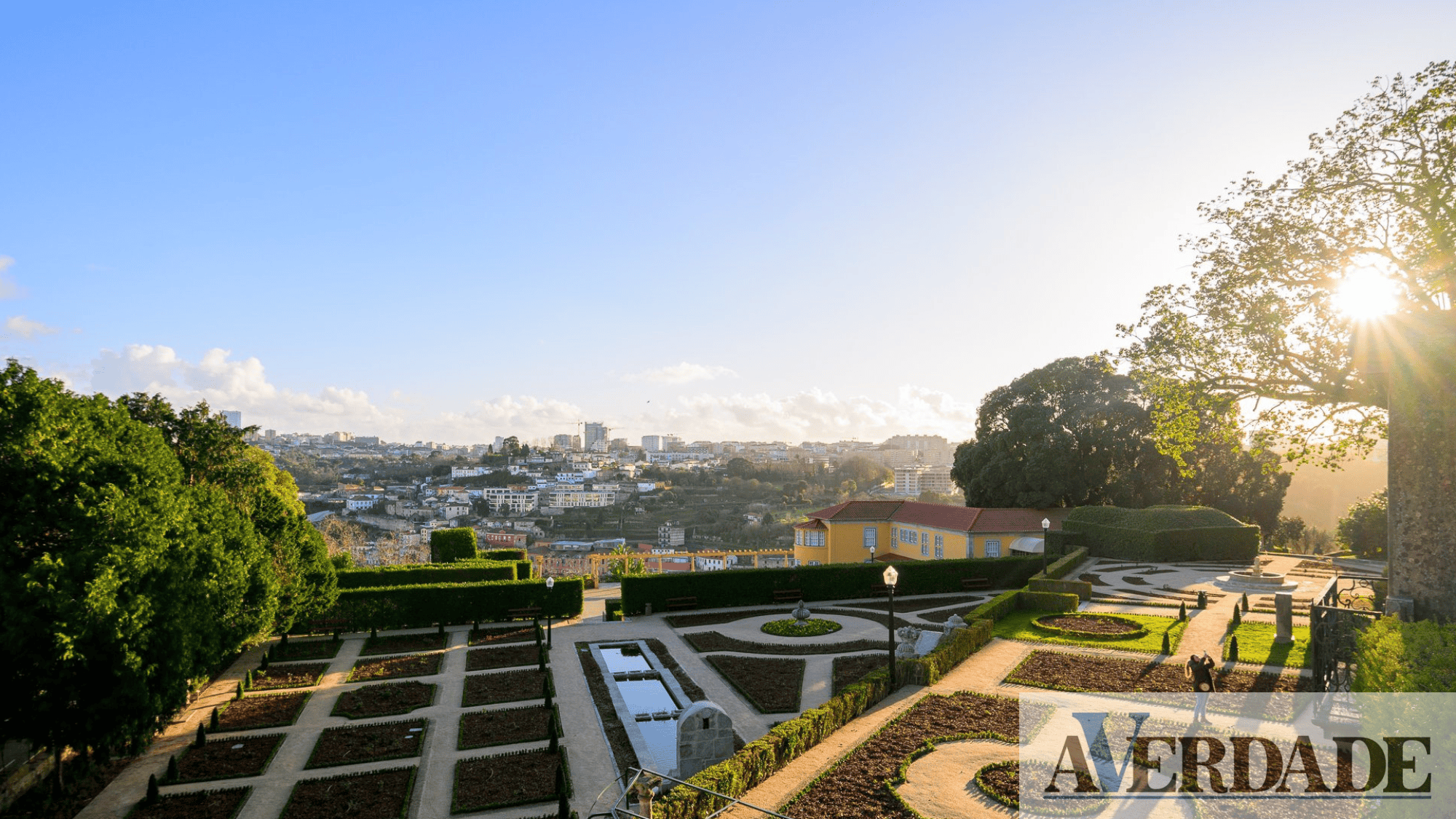 O Jardim do Roseiral do Porto já reabriu ao público