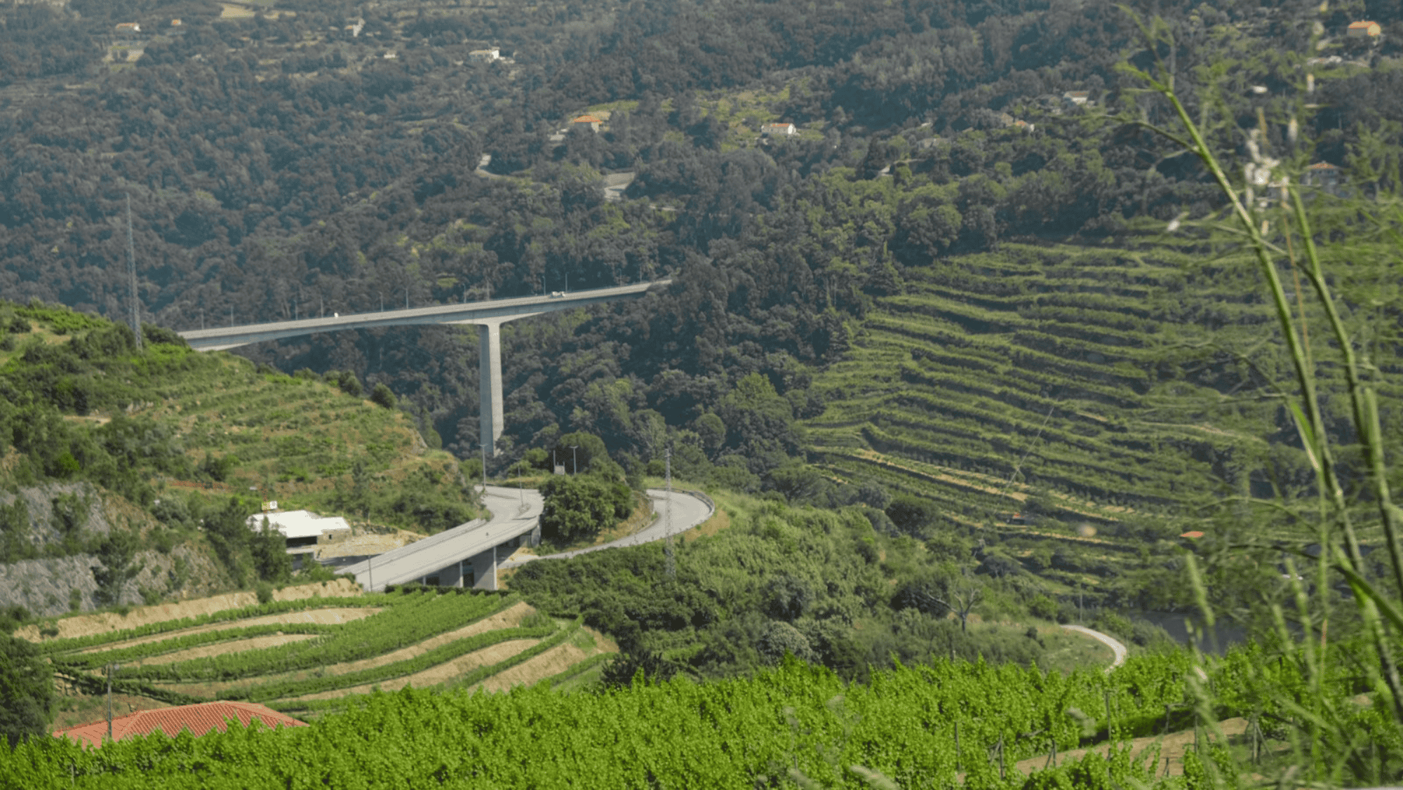 Ligação de Baião à Ponte da Ermida avança com primeira fase das obras