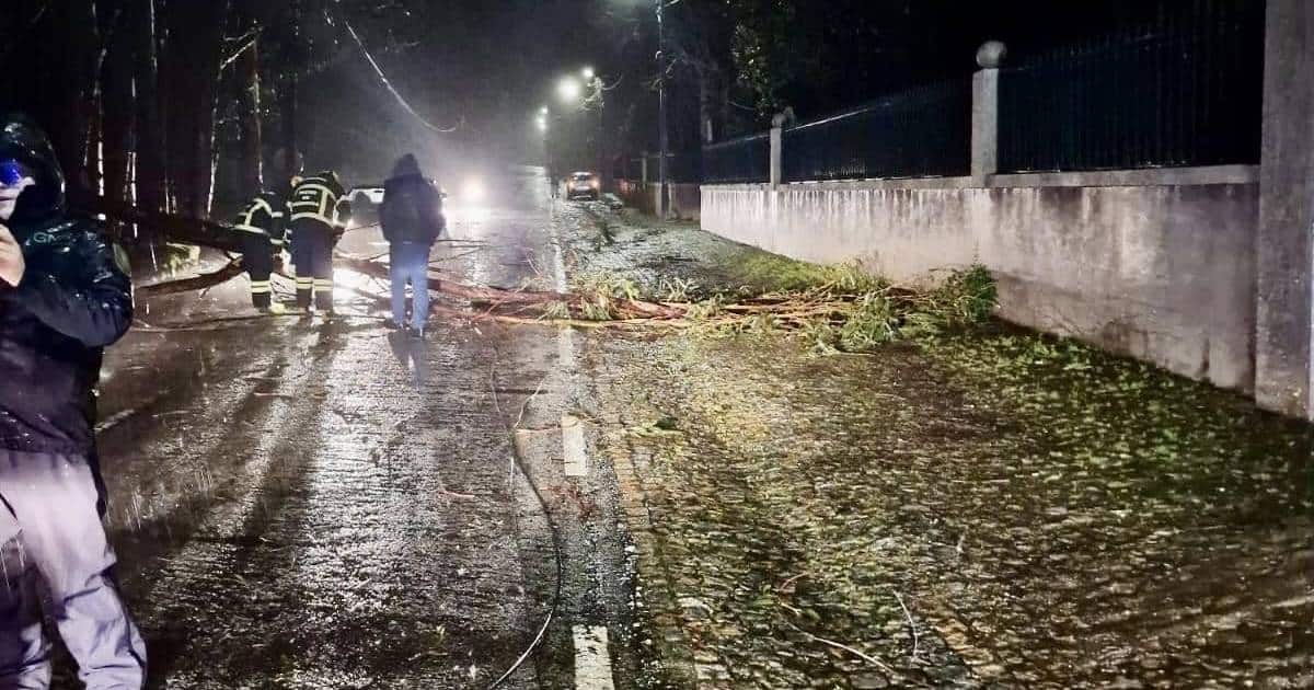 Mau tempo provoca 15 ocorrências em Paços de Ferreira. Agentes continuam no terreno
