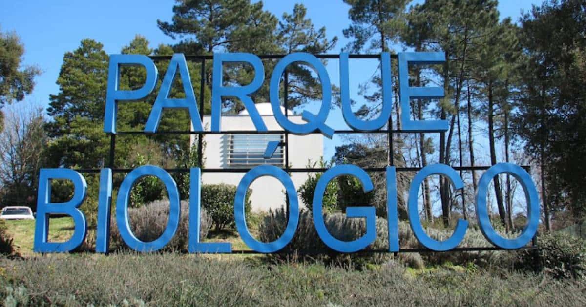 Saiba em que dias pode entrar de forma gratuita no Parque Biológico de Gaia