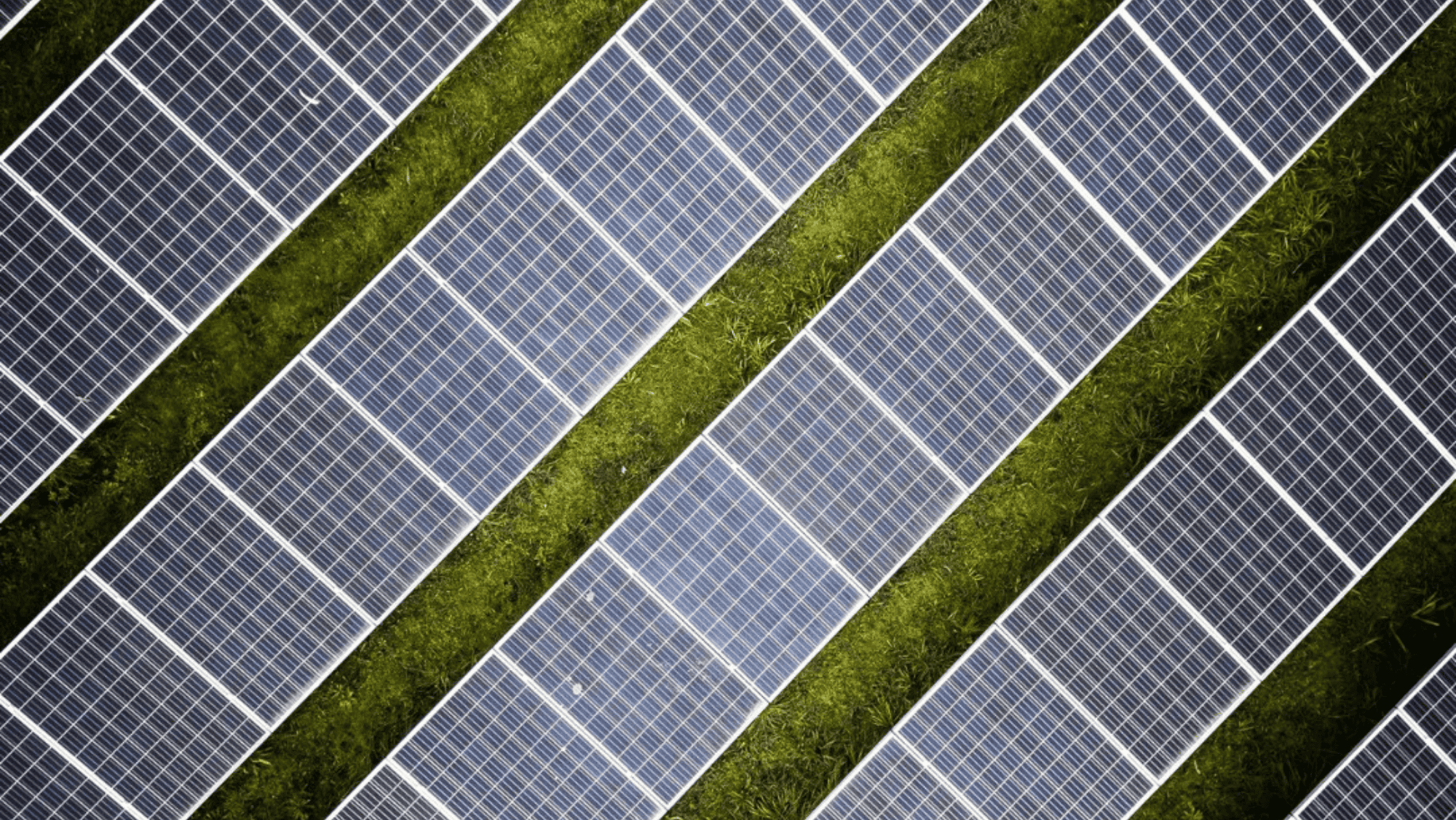 Cidade do Porto triplica produção de energia solar