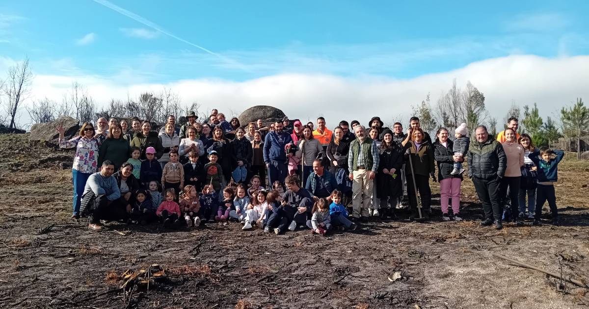 Marco de Canaveses: Mais de 300 voluntários plantaram 2.250 árvores em Tabuado